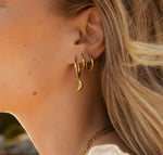 Load image into Gallery viewer, La Moonlight