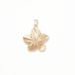 Load image into Gallery viewer, L'Hibiscus